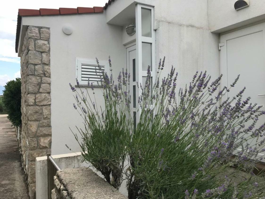 Apartament Gajac Lux Novalja Zewnętrze zdjęcie